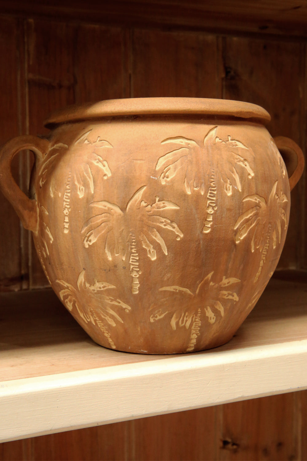 JONES &amp; CO BERMUDA PALM POT SMALL