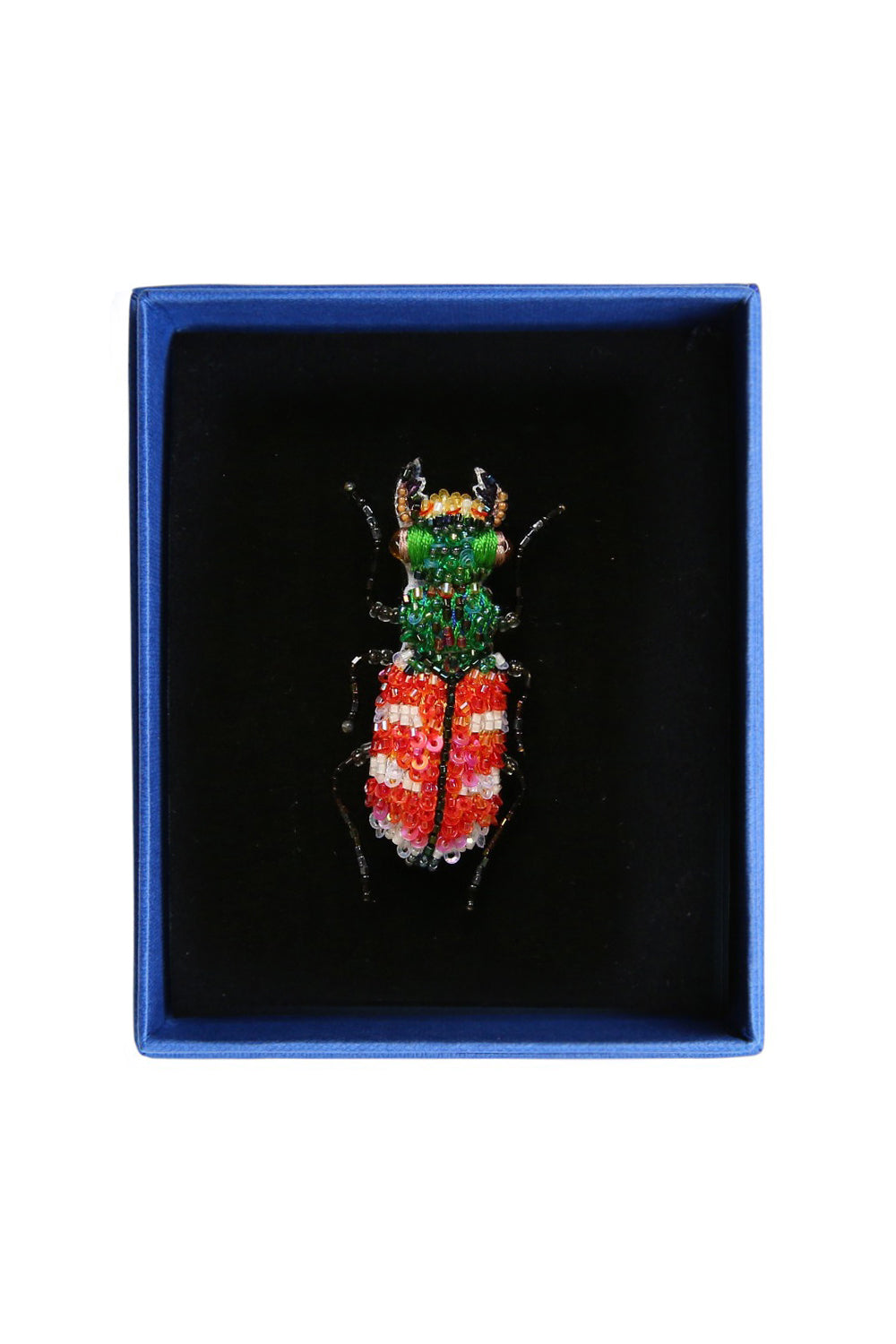 TROVELORE TIGER BEETLE