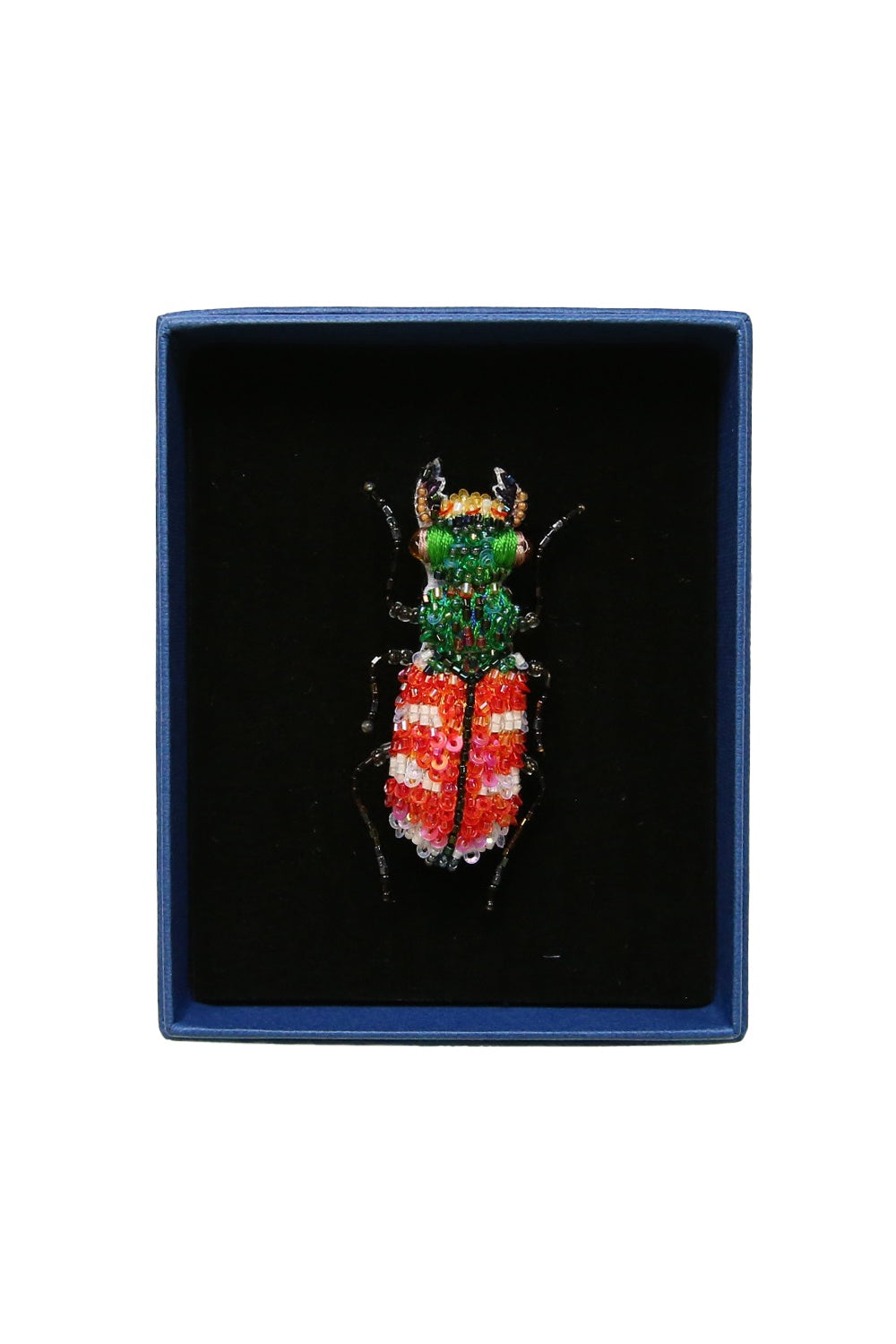 TROVELORE TIGER BEETLE