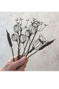 EAST OF INDIA WIRE SPRIG COW PARSLEY SMALL