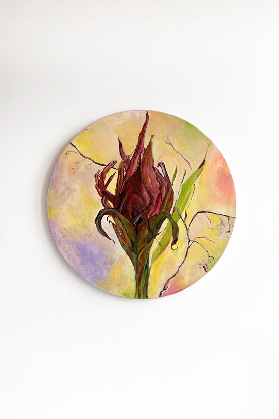 LOUISA CUNNINGHAM - GYMEA LILY