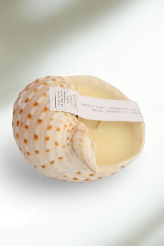 LONG ISLAND ICE TEA SHELL CANDLE